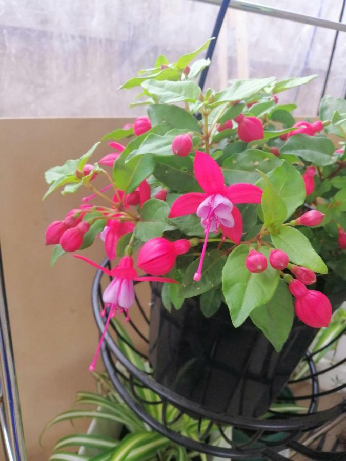 Melbourne Lakes Warm House מראה חיצוני תמונה